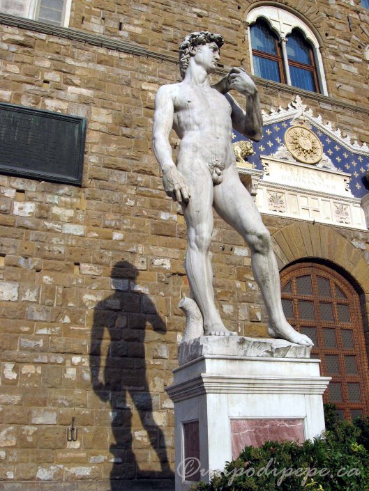 'Falso Davide' as I like to call him, outside the Palazzo Vecchio in Piazza della Signoria
