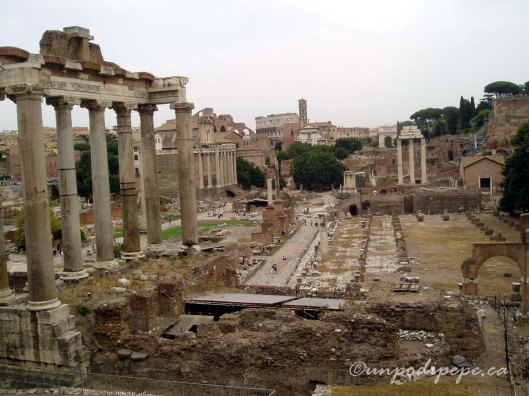 View of the Roman Forum (Foro Romano)