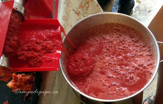 Passata di pomodoro