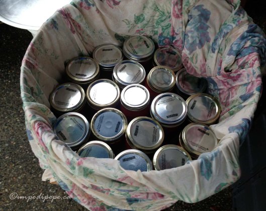 Vasetti (jars) of passata in a huge cloth lined pot