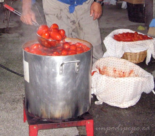 La pentola per i pomodori-a really big pot to cook the tomatoes!