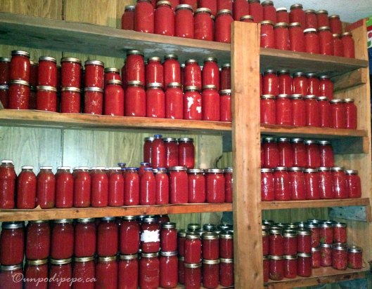 La cantina! The bottom shelf is from last year. 