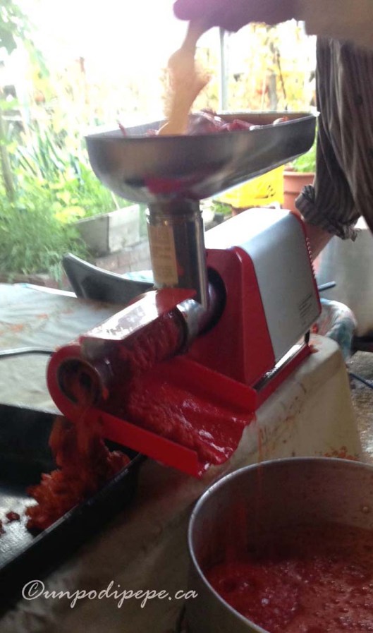 Our 'spremipomodoro' hard at work. The salsa/passata comes out the front and the skins and seeds come out the side.