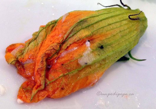 fioreconcaciocavallo