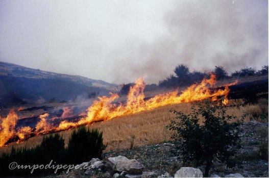 Bruciatura della ristoccia 1990