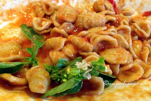 Orecchiette di grano arso al sugo, Ristorante  Peppe Zullo Orsara di Puglia