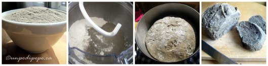 Panegranoarsocollage4