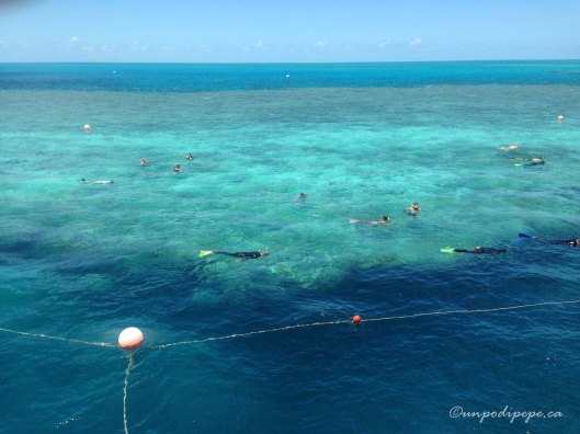 Greatbarrierreef3