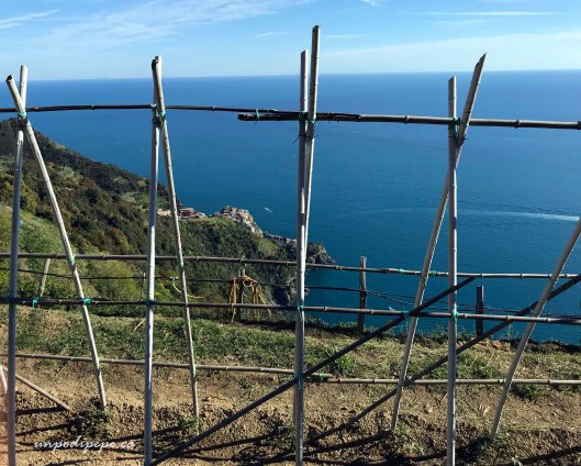 Manarola da Volastra