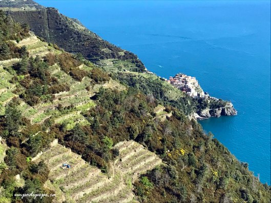 Manarola vista dal Sentiero Rosso