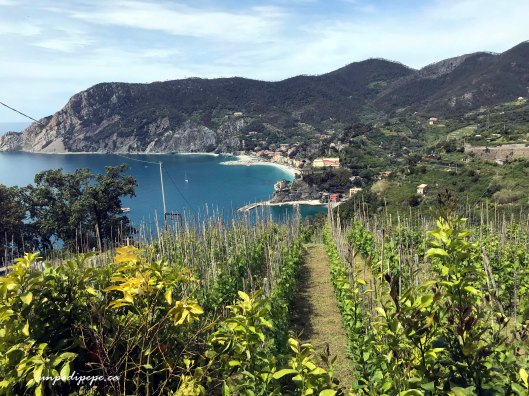 Monterosso a Mare dal Sentiero Azzurro