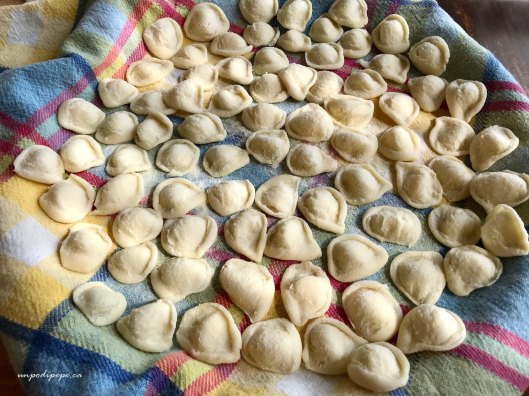 Orecchiette