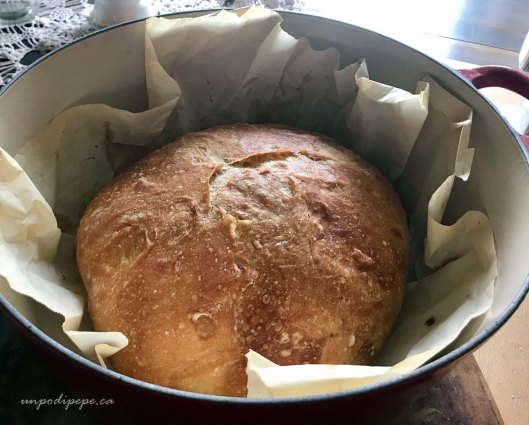 No knead bread