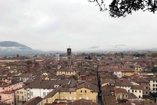 View from Torre Guinigi