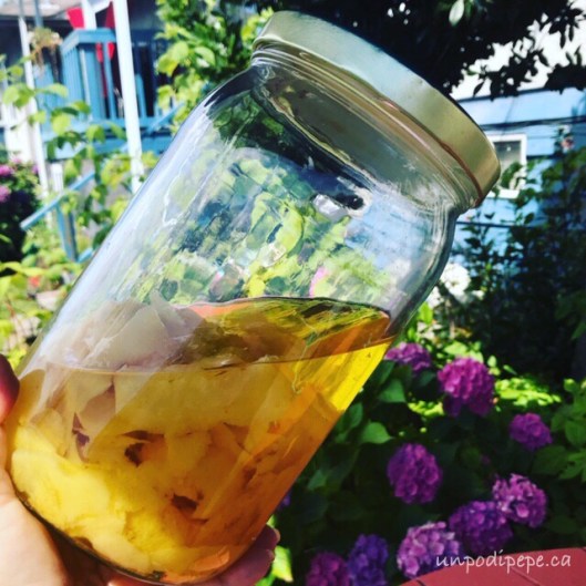 Limoncello steeping
