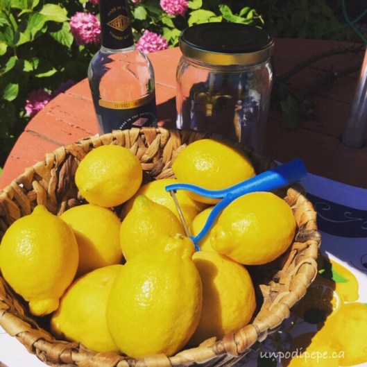 Limoni organic lemons