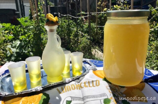 Making limoncello